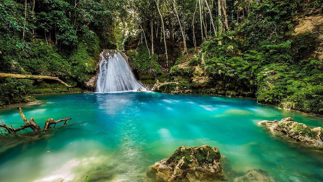 Discover Jamaica: Travel Tips & Top Attractions 🌴
