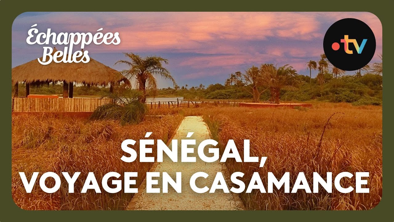 Découverte de la Casamance : un voyage inoubliable au Sénégal 🌴
