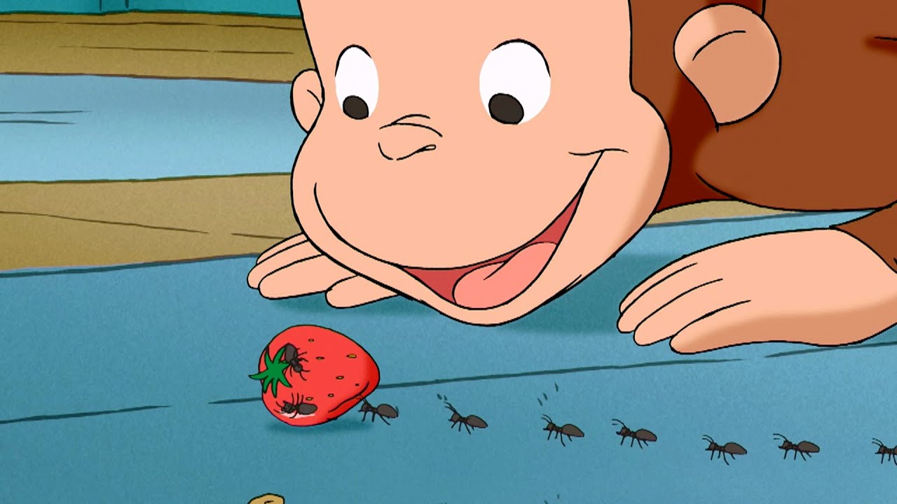 La patrulla antihormigas de Jorge | Episodios completos | Jorge El Curioso en Español