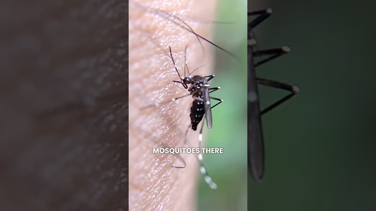 7 Amazing Animal Facts You Didn't Know 🐾