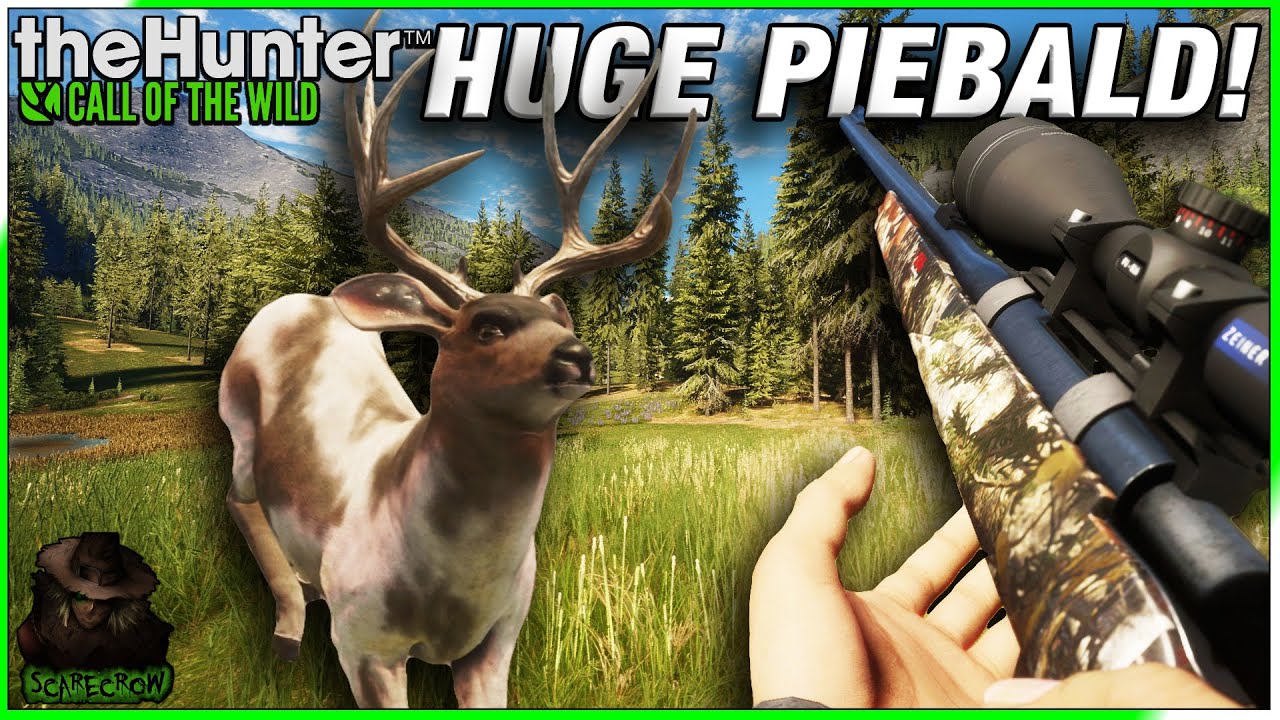 We Got This GIANT Piebald TruRACS Mule Deer With Our Camo .270 Warden! Call of the wild