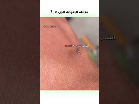 معاناة البعوضة 2 😂 #دبلجة_مضحكة #ضحك #اكسبلور #السعودية #my_kingo #كوميديا #دوبلاج #funny