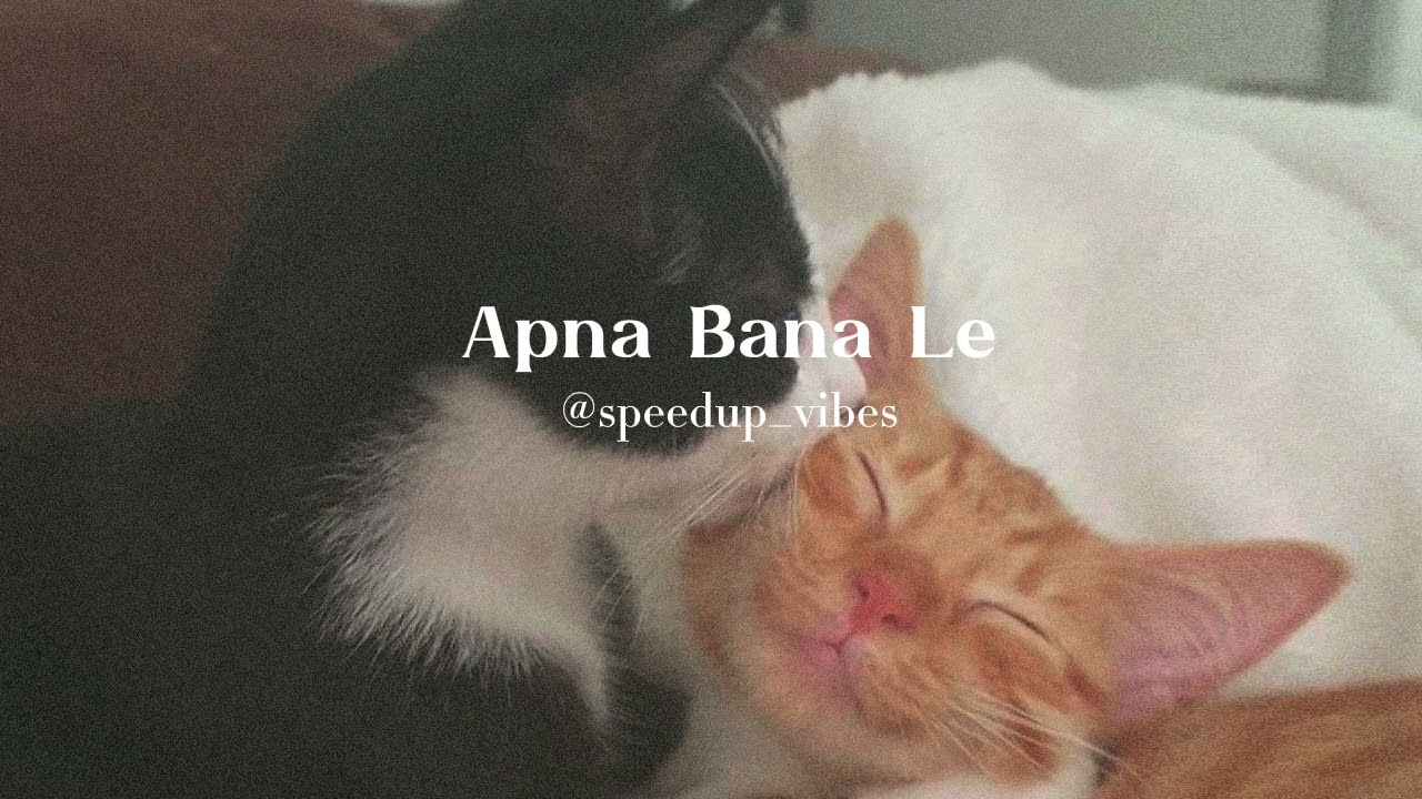 Apna Bana Le [Speed Up] || Arijit Singh 🎶