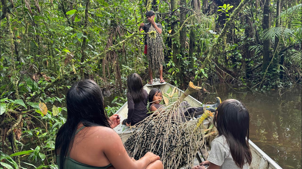 Como os Indígenas Preparam Açaí 🌿