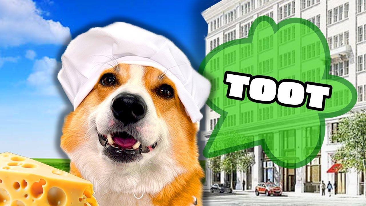 Dog's Gas Causes City Lockdown! π§