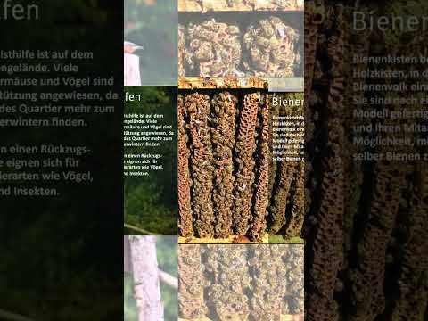 noch 1 Tag bis zur #btw25