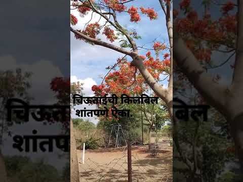 Nisarg Morning 🌅 | Short Video