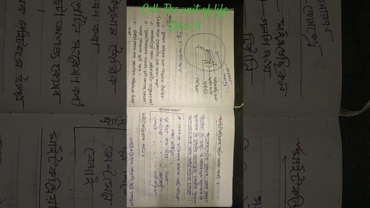 Cell: The Basic Unit of Life 🧬