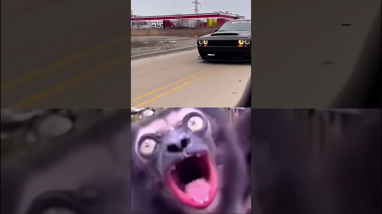 Dodge Challenger Hellcat's Wild Animal-Like Whine 🐾