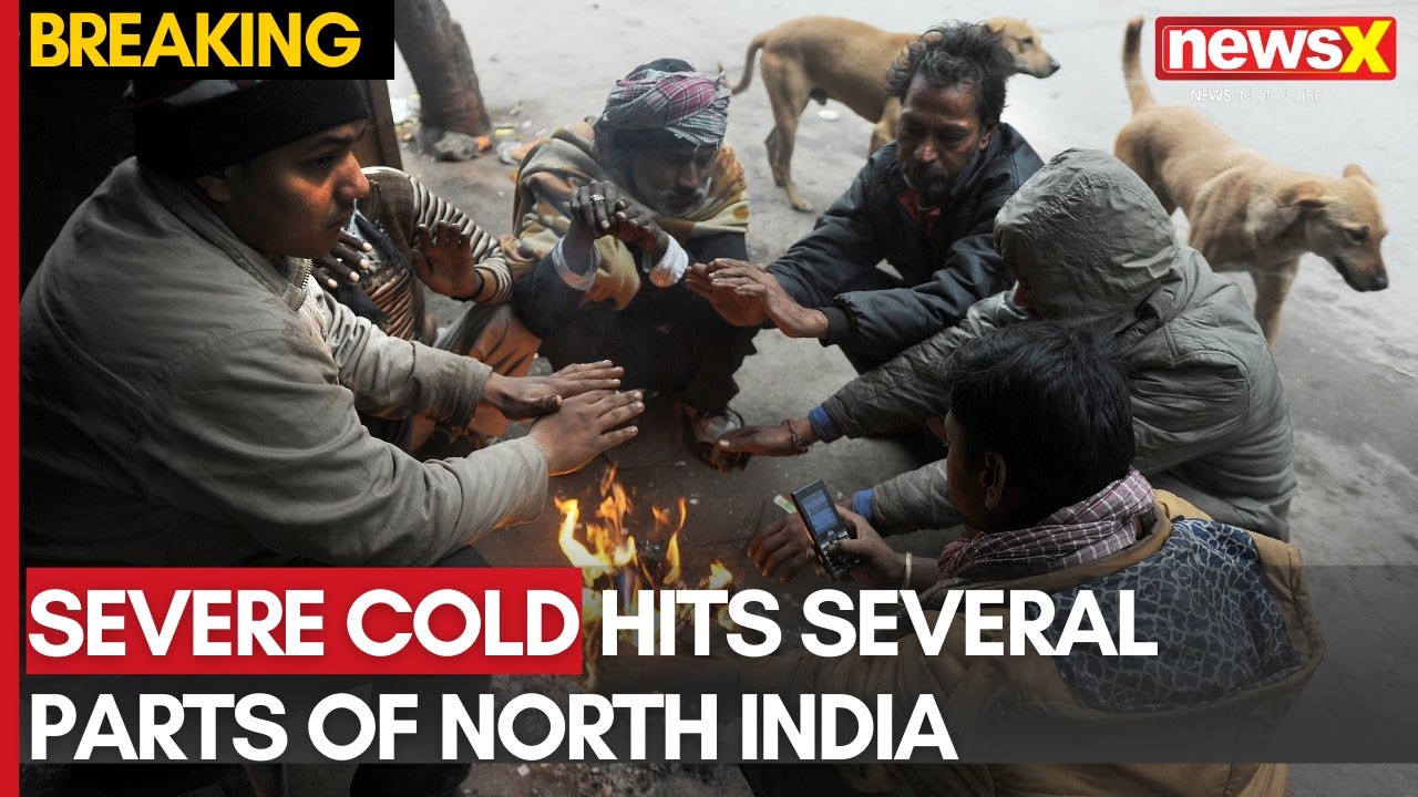 Severe Cold Wave Hits North India: Temperature Drops in Noida, Rain Expected | NewsX