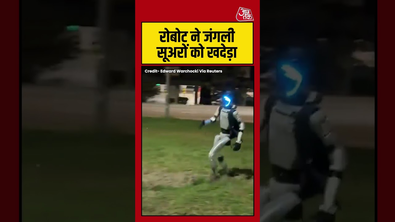Viral Video: Poland में रोबोट ने जंगली सूअरों के झुंड को खदेड़ा #poland #robot #viral #aajtak