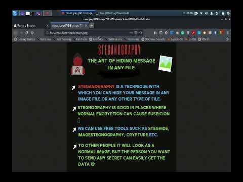 How to hide data in picture Steganography in [urdu ,hindi]