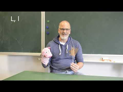 Lesen lernen in Klasse 1: Anlaut L & Merkspruch 📚