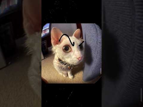 تشطيف المتابعين عاد لينتقم 😂