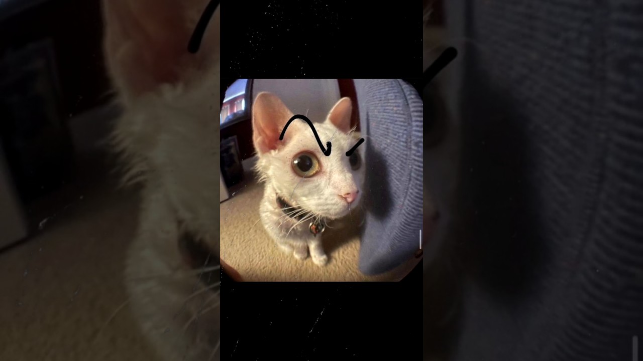 تشطيف المتابعين يعود من جديد! هل سينتقم؟ 😂