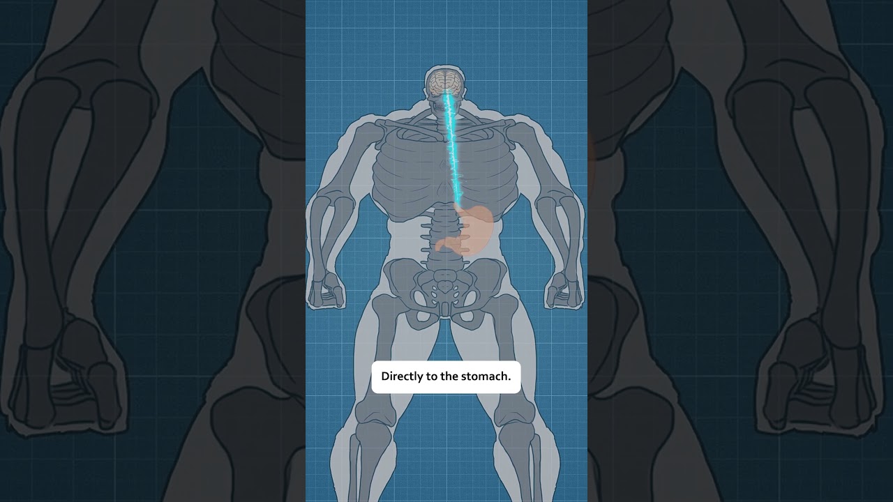 Why Space Marines Eat Their Enemies 🍽️ | Warhammer 40k Lore