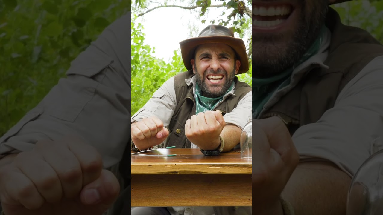 This Sting Was Unexpected and Uncomfortable π