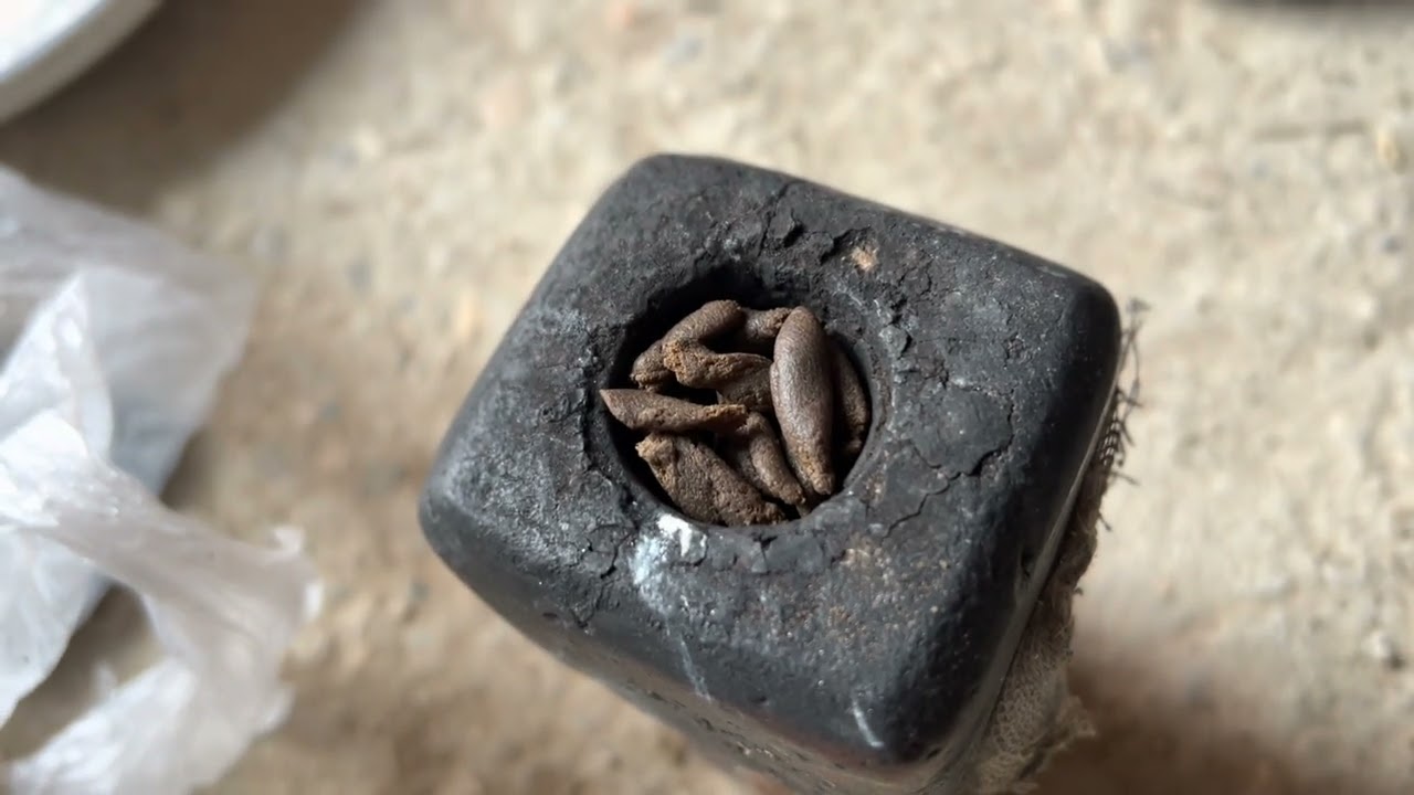 Starting a Hash Pipe in Afghanistan π¬