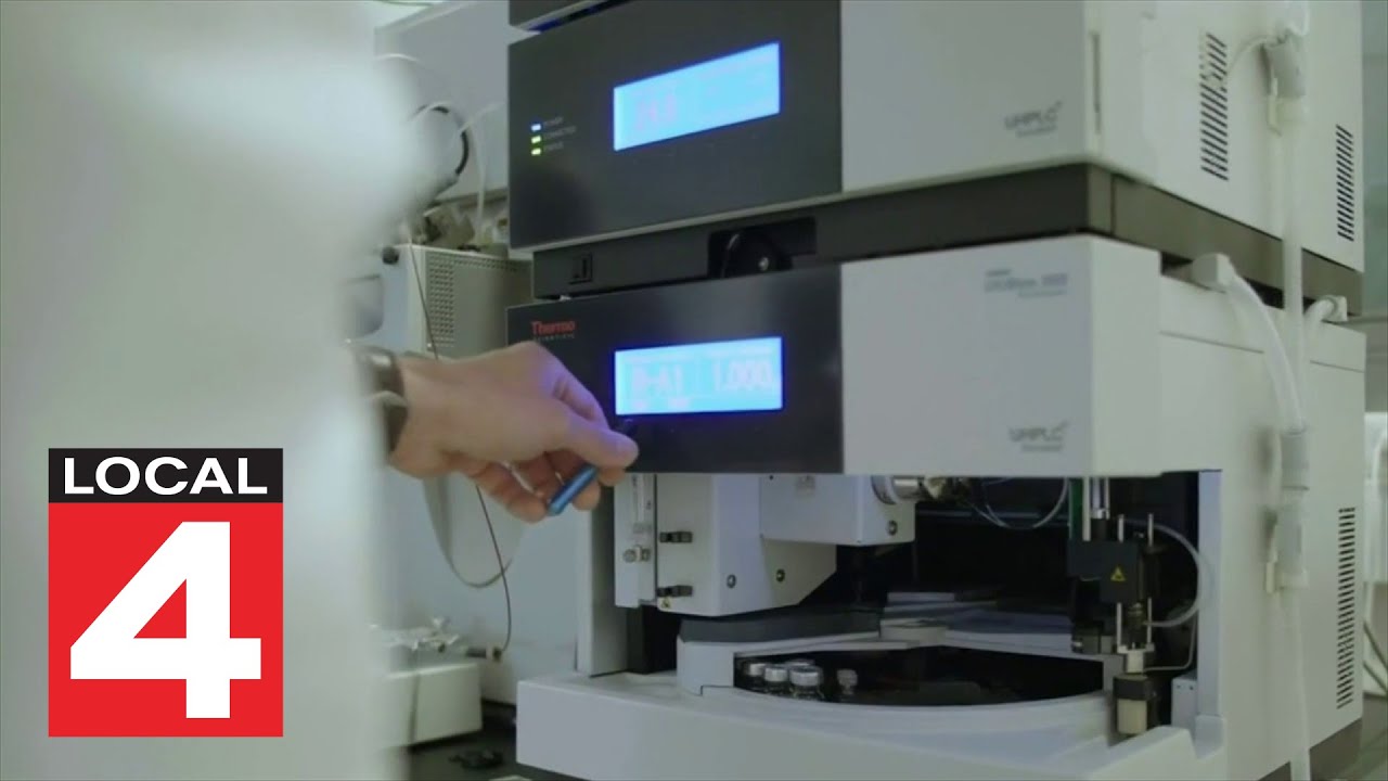 Genetic Testing as a Proactive Strategy for Cancer Prevention