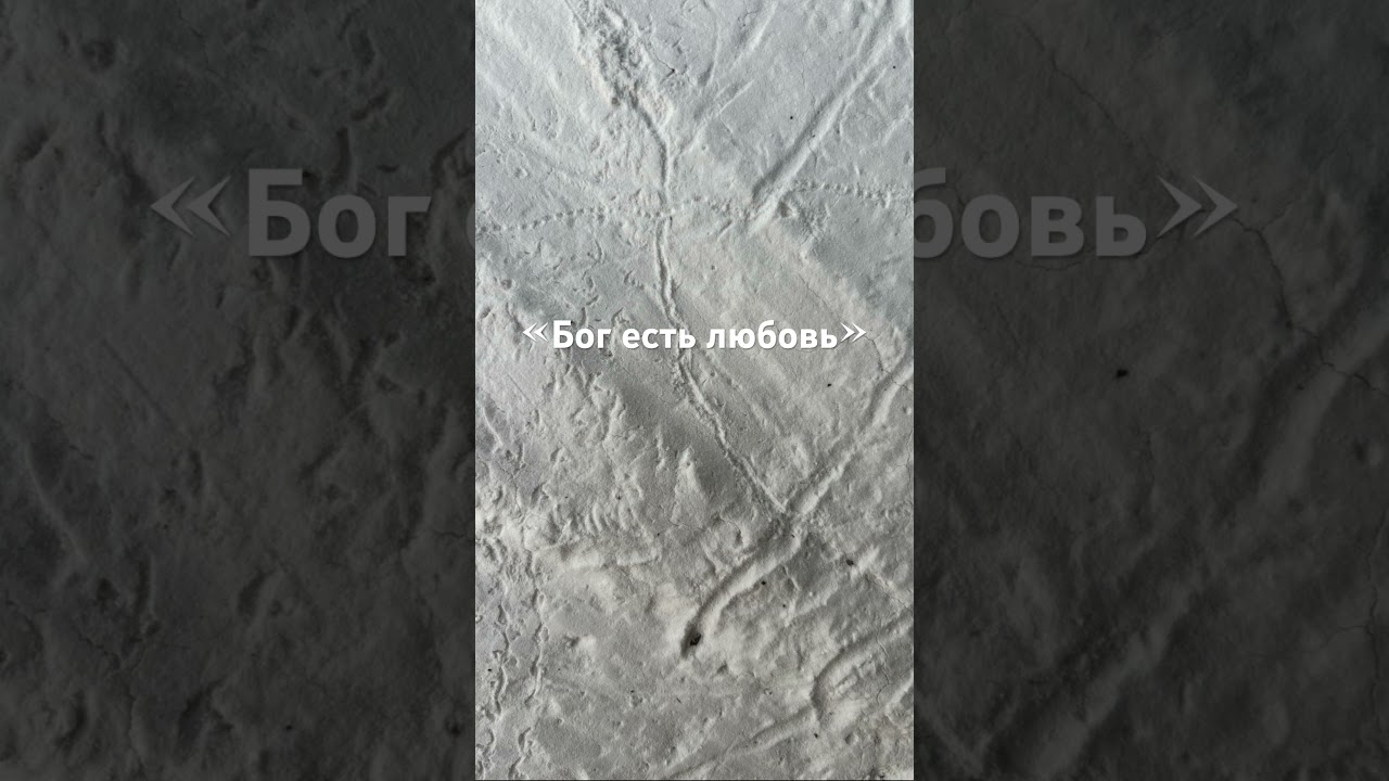 Бог Воскресает Каждый День ✝️