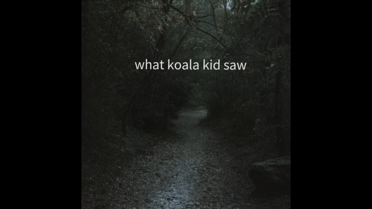 Koala Kid's Amazing Night Adventure in the Forest 🌙