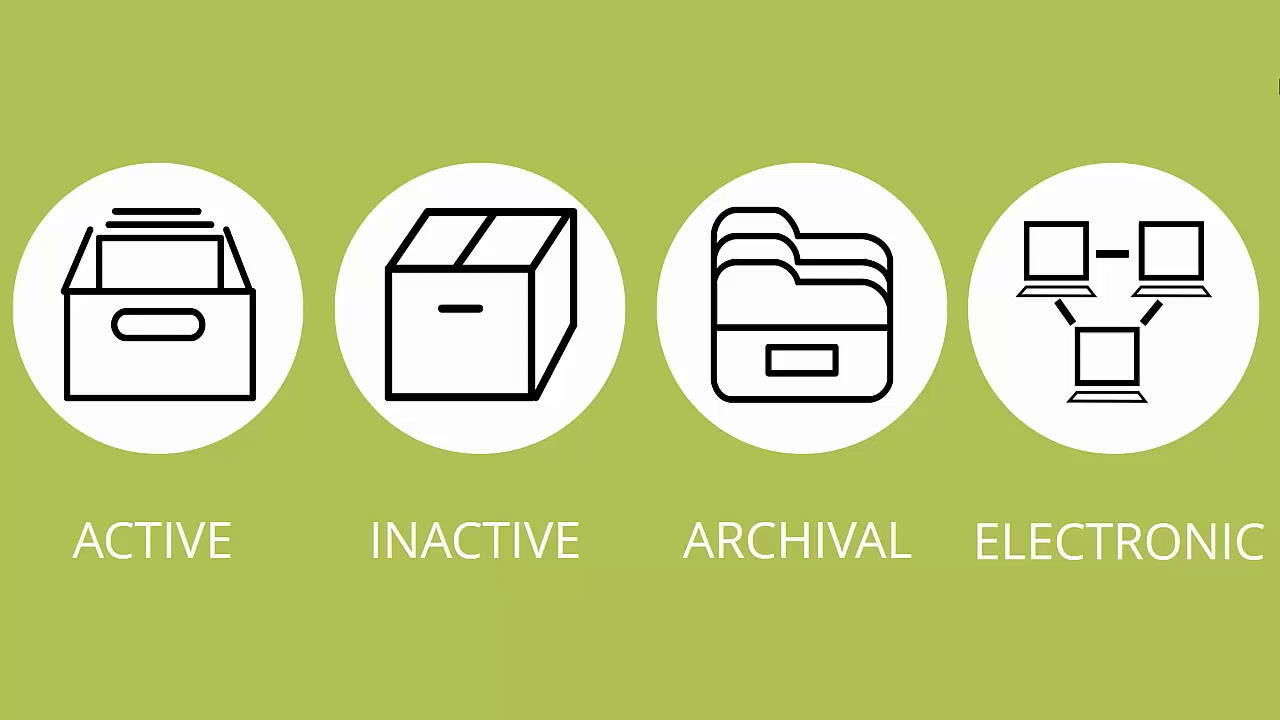 Records Management: What Is a Record? 📁