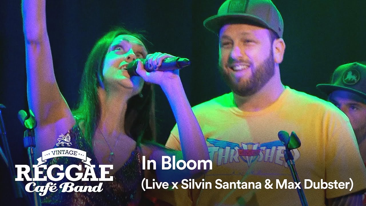 Vintage Reggae Café Band Performs Nirvana's 'In Bloom' 🎶