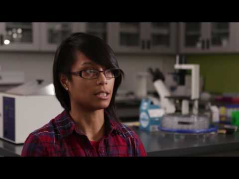 Grad Studies in Applied Math at the University of Waterloo: Mathematical Medicine & Biology Group