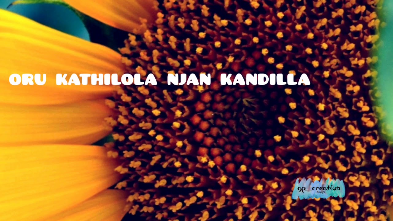 Oru Kathilola Njan Kandilla - Vettam Malayalam Song 🎶