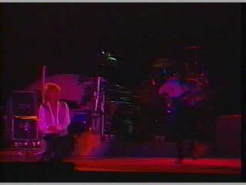 Rod Stewart Live in Chile 1989 🎸