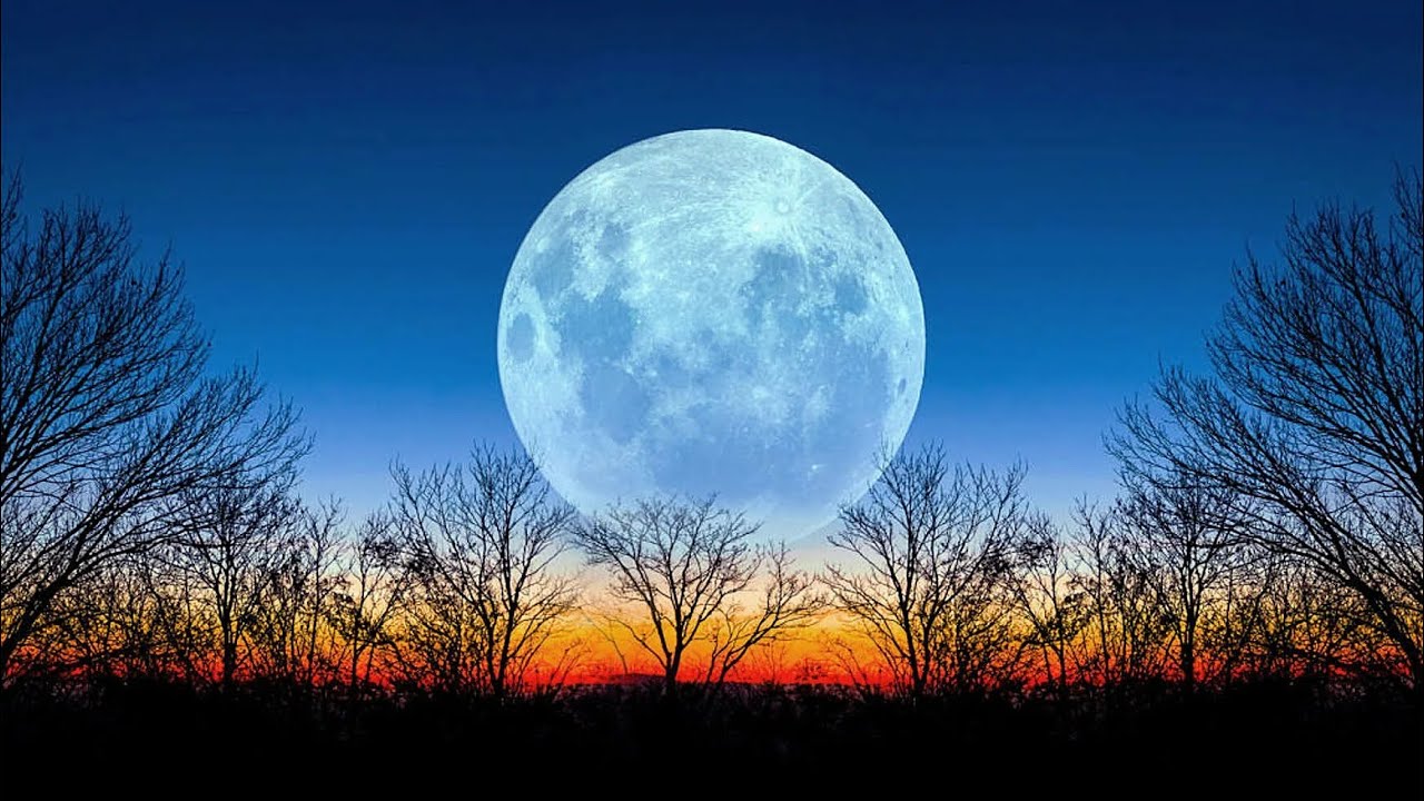 Гороскоп на 4 ноября 2025: советы карт 🌙