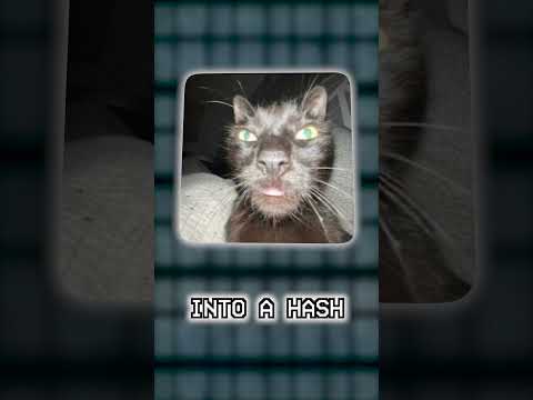 SHA-256: Algorytm wart miliardy dolarów #fakty #nauka #informatyka