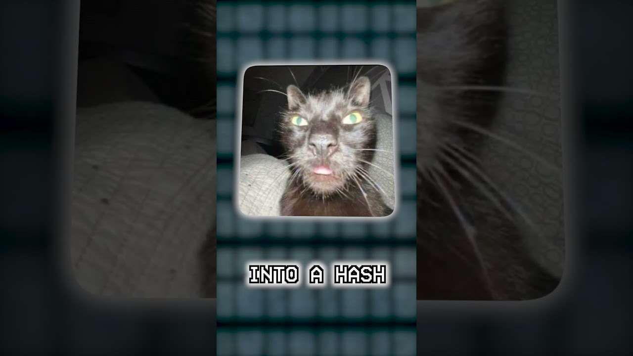 SHA-256: Kluczowy algorytm wart miliardy dolarów #fakty #nauka #informatyka