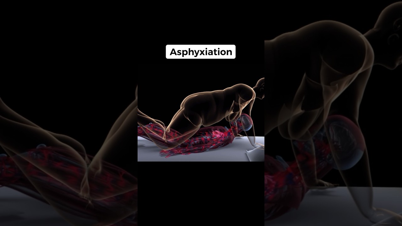 Hilarious & Shocking: The Dumbest Ways People Have Died! 💀 (Part 27)