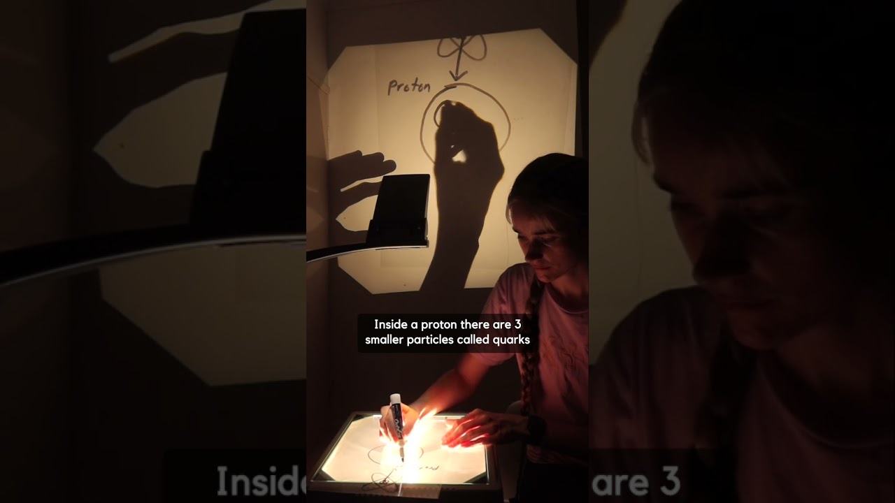 Explore a Colorful 4D World 🌈