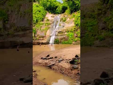 #newshortsvideo #habibiofficial #viral #trandingshorts #youtubetrendingshorts #trandingsong