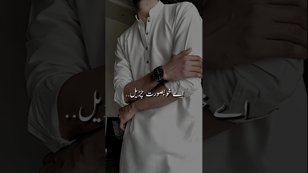 Hilarious Line from a Romantic Novel 😂