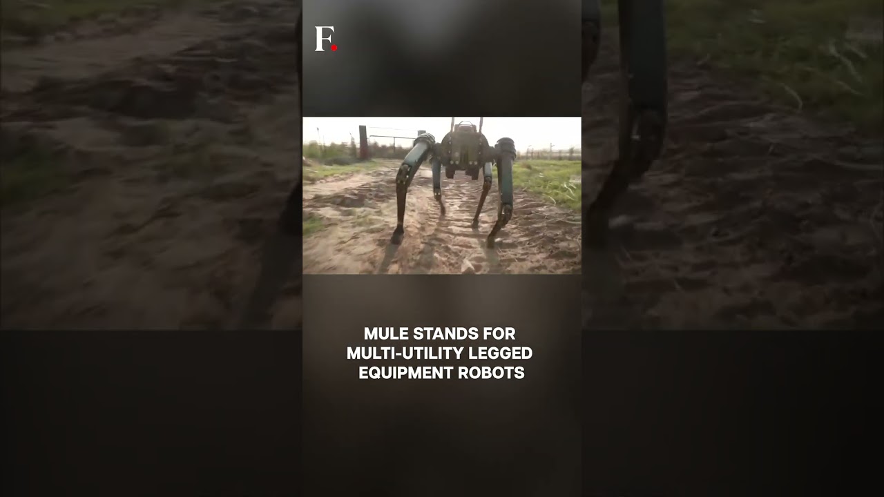 Indian Army Deploys MULE Robots for Border Surveillance