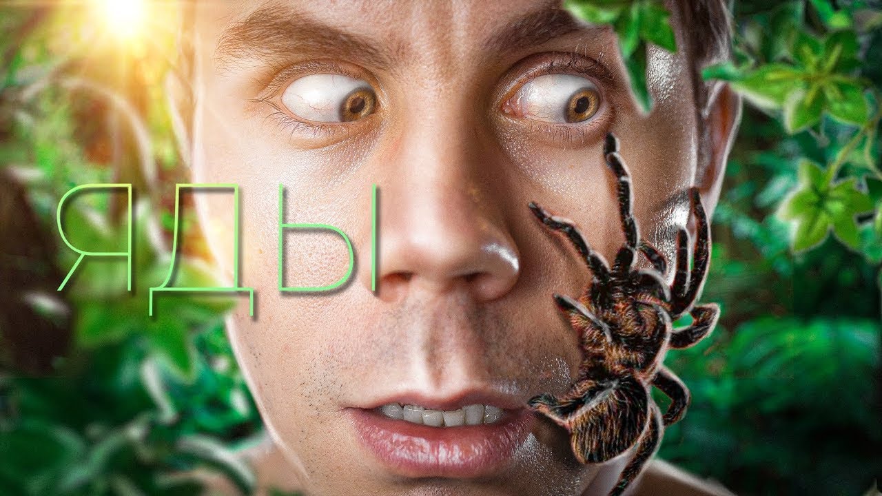 Как избежать отравления и выжить? 🔥