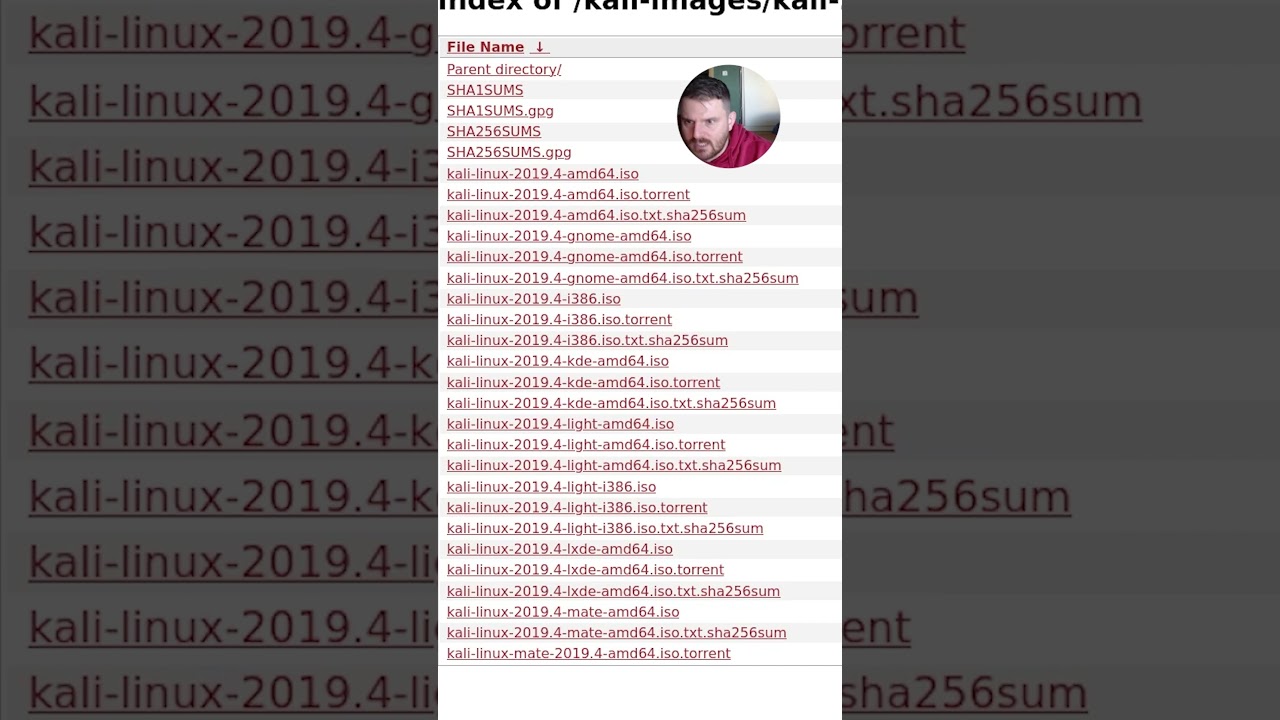 Cryptography Basics: Hashing for Data Integrity 🔐 | TryHackMe Shorts