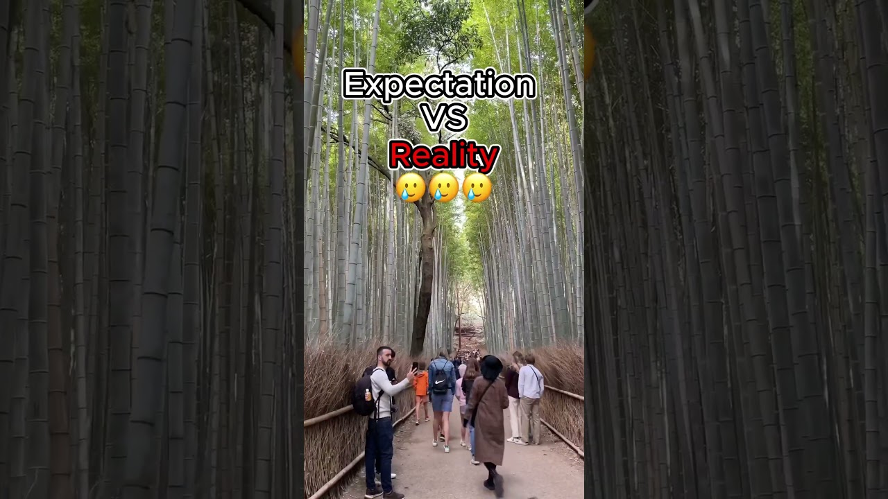 Kyoto's Arashiyama Bamboo Forest: Expectations vs Reality 🌿