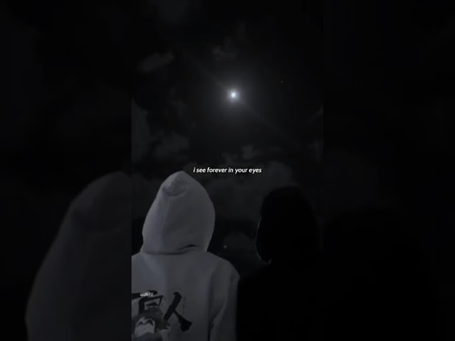 Relaxing Dandelions Lyrics Edit 🌼 | Slow Audio Version #Shorts