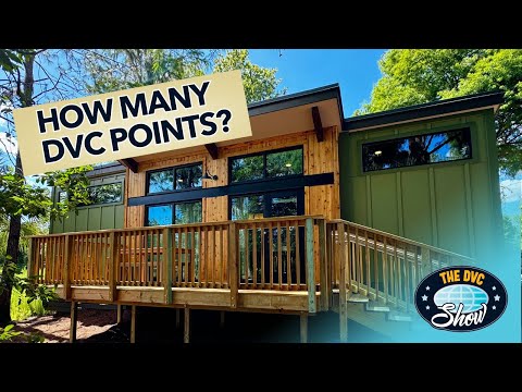 How Many DVC Points Should You REALLY Buy? (Avoid This Common Mistake!)