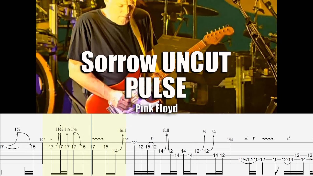 Pink Floyd Sorrow PULSE Uncut Guitar Tab & Playalong 🎸