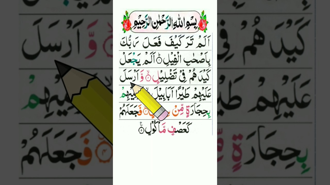 Alam Tara Kaifa Surah with Urdu Translation | Beautiful Tilawat by Qari Bakht Wali 🎶