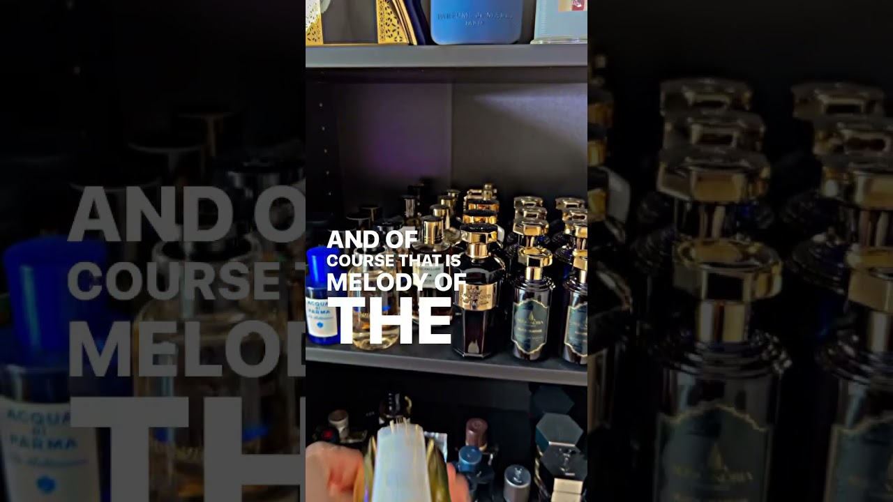 SOTD: Melody of The Sun by Mancera ☀️