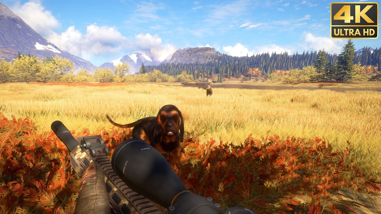 The Hunter: Call of the Wild 4K 60fps Gameplay 🎯