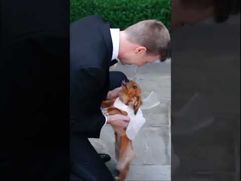 The Cutest Wedding First Look Ever…🎥: @claudiagoodwinfilms  #firstlook #wedding #weddingshorts