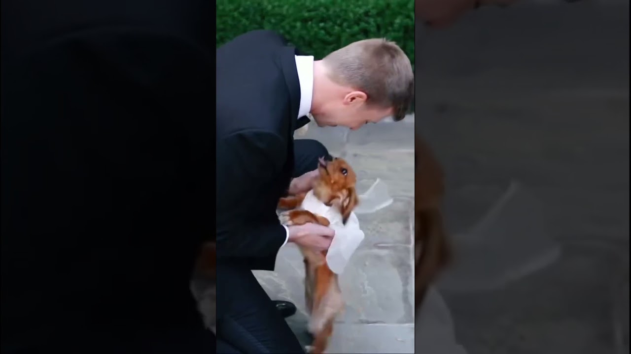 Adorable Wedding First Look Moment You Can't Miss! 💍