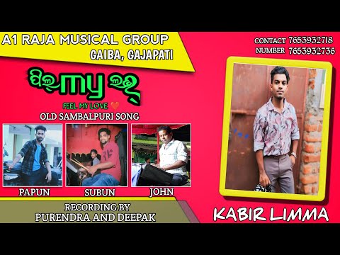 Feel My Love || New Recording Song || Raja Musical Group Gaiba || Kabir Limma